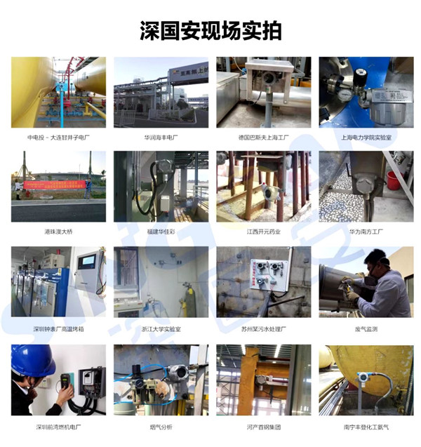 深國安可燃?xì)怏w檢測儀應(yīng)用案例