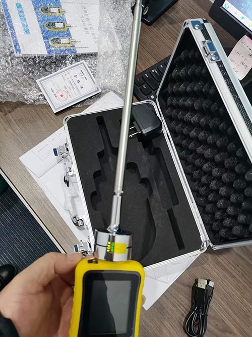 便攜探桿式氣體檢測儀