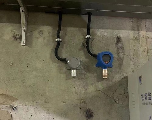 在線式惰性氣體探測器