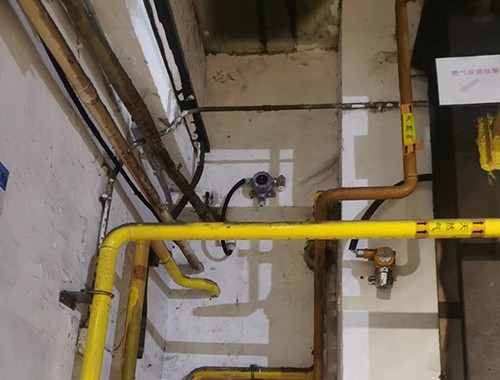 八氟環丁烷檢測儀